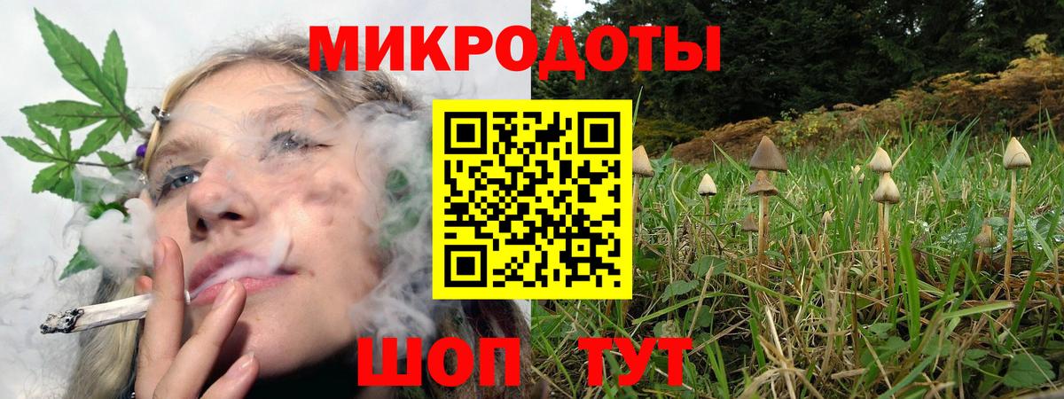 Татарск  Псилоцибиновые грибы ЛСД  купить наркоту  Вход с VPN  Псилоцибиновые грибы прущие грибы 
